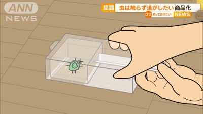 怕蟲族的救星！日發明超實用捕蟲盒　簡易機關「手一拉就能困住」