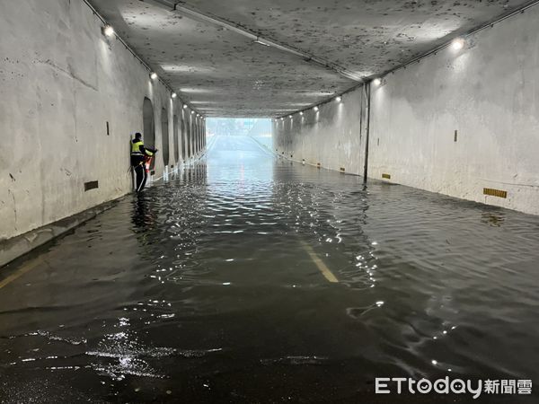 ▲▼樹林淹水。（圖／記者陳雕文翻攝）