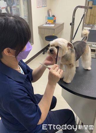 ▲▼高雄五甲二店新開幕「四館同慶」！飼料7折、美容5折還有來店禮。（圖／東森寵物雲授權提供）