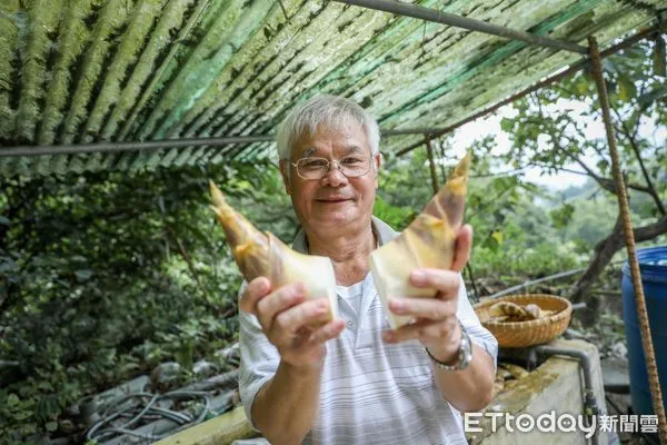 ▲五星食材直送五星飯店 新北鮮筍怎麼料理都美味。(圖/新北市農業局提供)