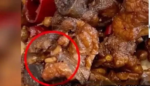 ▲▼ 外賣有活蛆 。(圖/翻攝 一快看點)