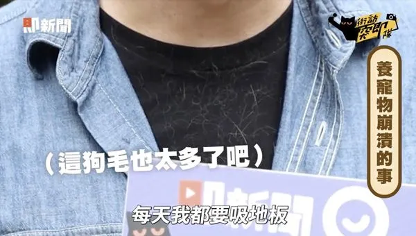 ▲▼ 毛小孩,清潔,貓奴,柴犬,過敏,吸塵器,Dyson。(圖/擷取自《街訪突即隊》影片)