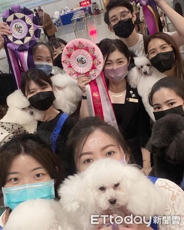 東森寵物雲KCT美容師競賽獲獎。（圖／東森寵物雲提供）