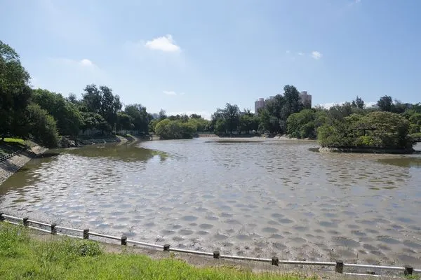 ▲清大成功湖整治。(圖/翻攝清大粉專)