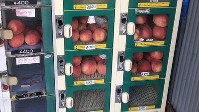 福島沿路可見「水蜜桃自動販售機」　網推爆：總比在超市爛掉好