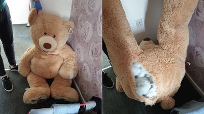 警破門發現「巨大泰迪熊在呼吸」　成功在玩偶體內逮到通緝犯