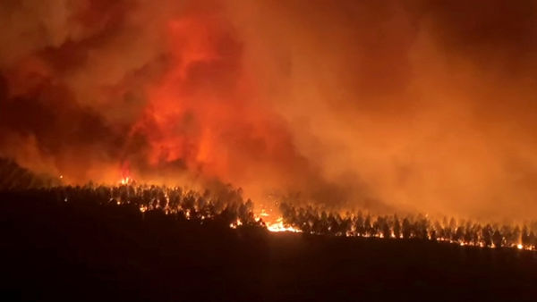 ▲▼法國西南部吉倫特省（Gironde）發生野火，超過1000多名消防員動員救災，但火勢延燒2天以來仍未獲得控制。（圖／路透）