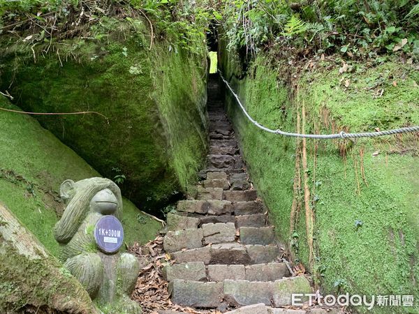 ▲五指山猴洞步道內有一處「奇岩巨石一線天」,五指山橫向步道,猴洞一線天。（圖／記者彭懷玉攝）