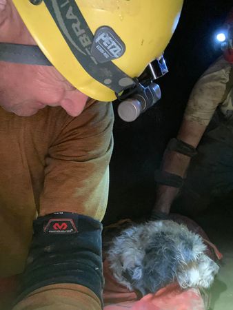 狗狗困洞穴2個月獲救。（圖／翻攝自Rick Haley臉書）