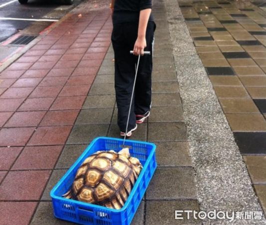 ▲賴皮不回家！公園驚見她拖「巨型波蘿麵包」　網笑翻：籃子會受傷。（圖／網友在線上林清華提供，請勿隨意翻拍，以免侵權。）