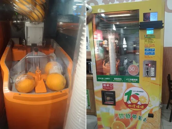 ▲水果發霉長出厚厚一層白毛。(圖/翻攝自爆廢公社)