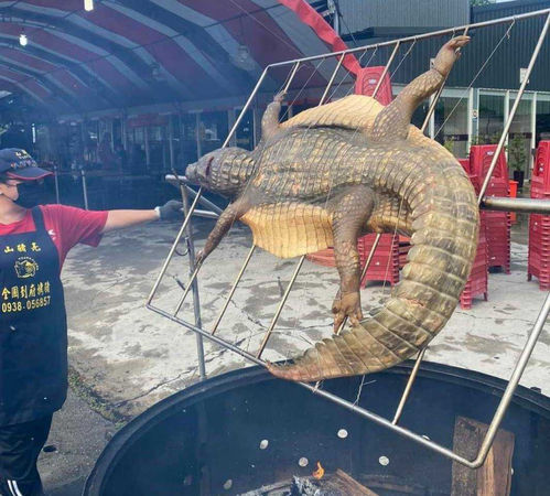 整隻烤鱷魚上烤網畫面相當驚人。（圖／翻攝自嘉義多一點臉書社團）