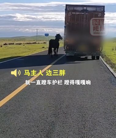 ▲▼公馬緊追載著妻小的卡車。（圖／翻攝自YouTube／北京時間）