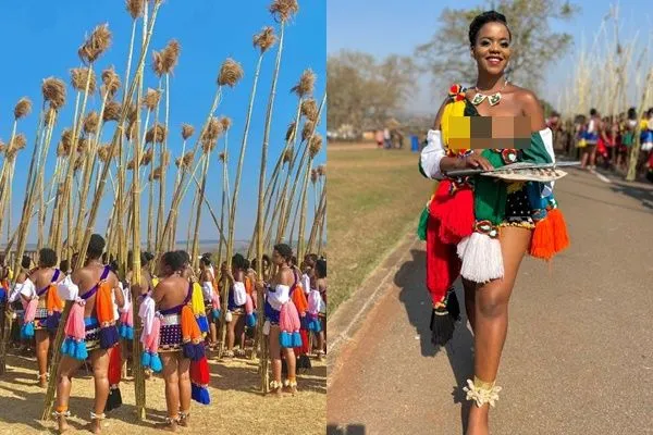 ▲▼南非蘆葦舞活動。(圖/翻攝自推特)