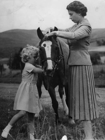 英國女王與馬。（圖／翻攝自The Royal Family臉書）