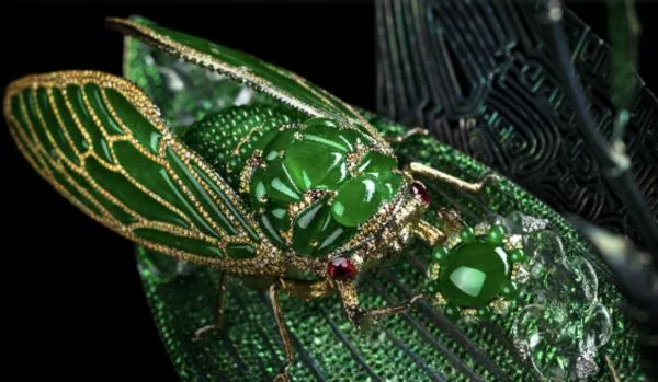 ▲陳世英作品《悟蟬知翠》。(圖/翻攝澎湃新聞)