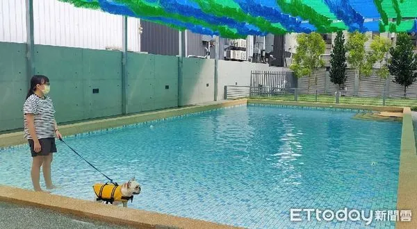 ▲台中人噴錢不手軟!月砸逾6萬送愛犬上日托,業主:一次包3個月。(圖/記者游瓊華攝)