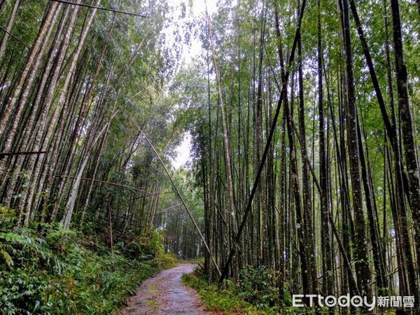 ▲嘉明湖國家步道及其山屋等設施自9月22日恢復開放。（圖／台東林管處提供，下同）