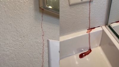浴室鏡櫃突冒「2條血流」以為惡靈纏上　她拆家找出科學真相笑了