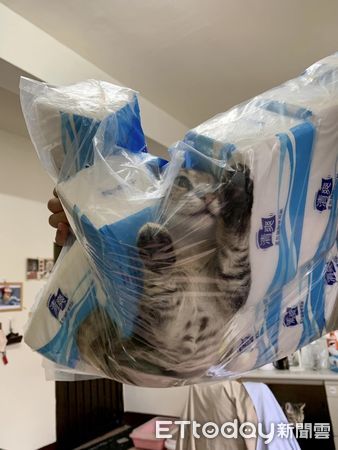 ▲▼確診在家7天收到「貓咪真空包」還附贈衛生紙　媽嘆：貓也瘋了。（圖／IG@huazai.marlboro提供）
