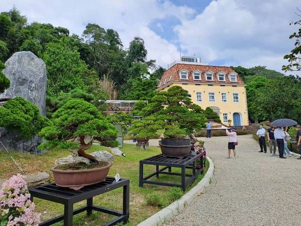 ▲國際盆景賞石協會慶60週年，蘇家莊園登場