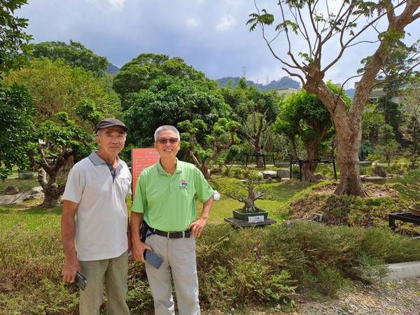 ▲國際盆景賞石協會慶60週年，蘇家莊園登場