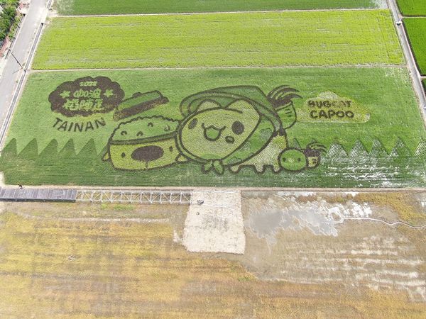 ▲▼台南咖波稻陣走彩繪稻田，2022台南好米季。（圖／後壁區農會提供）