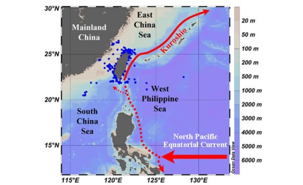 ▲▼             。（圖／翻攝自ScienceDirect）