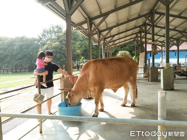 ▲台南市的老牛的家，有戶外大自然景觀，還設有室內農耕具展區，是個寓教於樂的好去處。（圖／記者林悅翻攝，下同）
