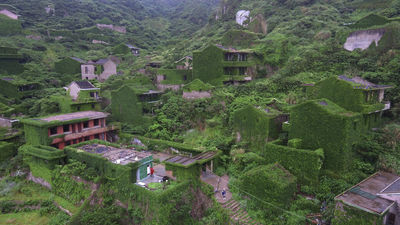陸廢棄村莊「空屋被滿滿植物覆蓋」　整片綠色疫情下仍成吸金寶地
