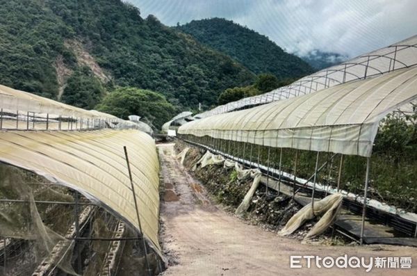 ▲▼ 。(圖/資料照)