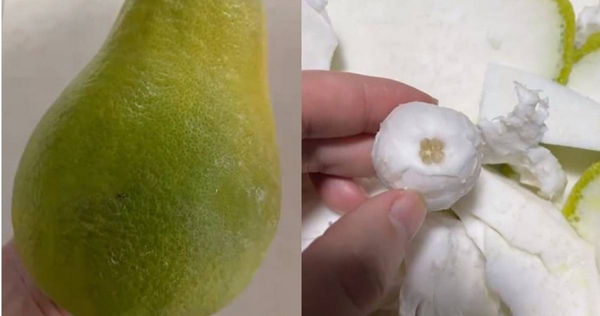 大陸江西省一名盧姓女子日前網購2顆柚子，剝開外皮後發現果肉只有核桃一般的大小。（圖／翻攝自微博／猛獁新聞）