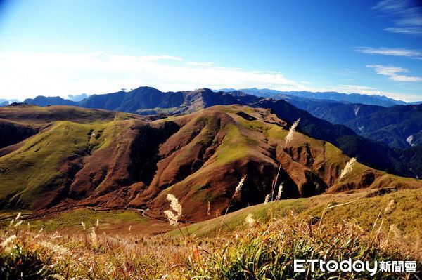 ▲能高安東軍縱走的草原美景，被山友稱為台灣「最接近天堂」的地方。（圖／南投林區管理處提供）