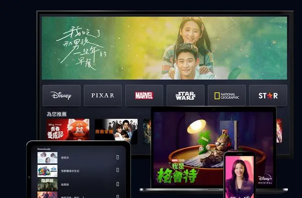 ▲台灣大推出Disney+優惠。(圖/取自Disney+)