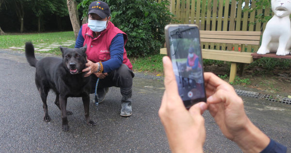 中和動物之家動保員黃榆翔為收容犬隻拍攝認養短片，這一年來以影片推銷方式送養成功比率達35%，連收容10年的黑狗「桶麵」都在一周內被收養。（圖／新北市動保處提供）