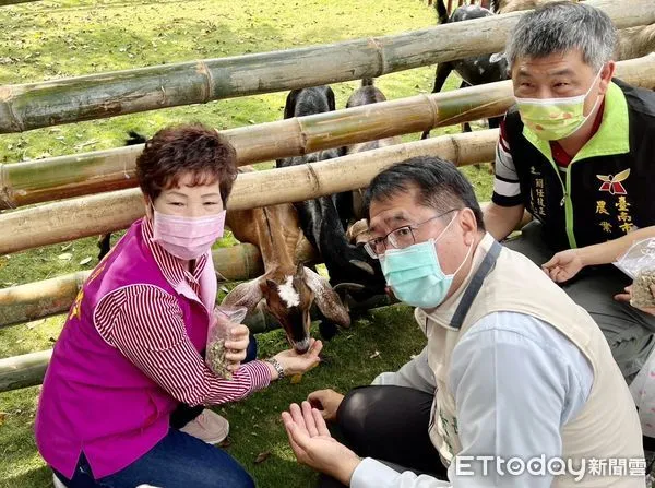 ▲為推廣台南優質的國產羊肉,由台南市政府及龍崎區農會合辦的2022台南羊肉節活動,20日在龍崎竹炭故事館前熱鬧展開,市長黃偉哲也到場共襄盛舉。(圖/記者林悅翻攝,下同)