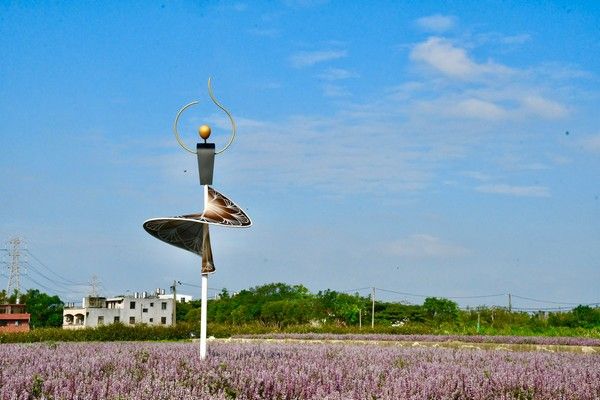 ▲2022桃園仙草花節開幕