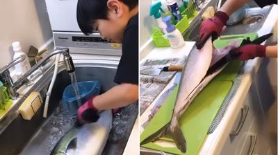 日本小五生擁有精湛殺魚刀工！　架式十足網一片叫好：比大人還強