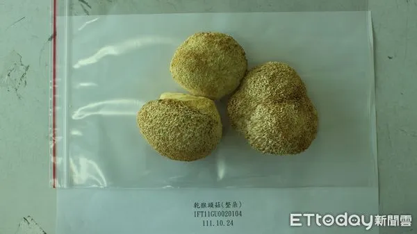 ▲▼中國大陸出口「乾猴頭菇(整朵)」檢出農藥殘留含量不符規定。(圖/食藥署提供)