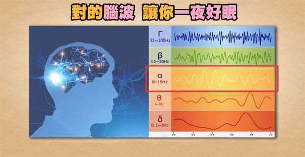 ▲▼舒曼波,PP舒曼波科技減壓被,睡眠。（圖／業者提供）