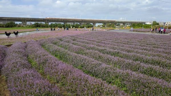 ▲112年「綠色環境給付計畫」1月3日起開始受理申報！