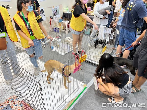 ▲2022台南成大寵物展在成大中正堂體育館內與舉辦，吸引大批民眾，帶著自己的毛小孩、特寵到場，現場十分熱鬧。（圖／記者林悅攝，下同）