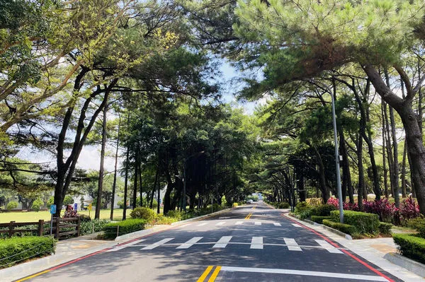 ▲中央大學環校道路工程獲工程會金質獎肯定