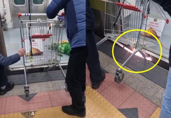 ▲▼南韓一名老人推賣場手推車搭首爾地鐵，卻反而卡在車廂月台縫隙，甚至引起火花。（圖／翻攝自Instagram）