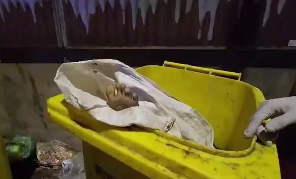 清潔員一度以為在垃圾桶裡有女屍，嚇壞不少人。（翻自brighttv.co.th）