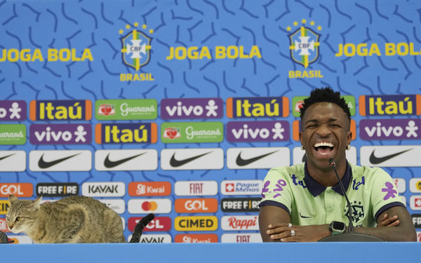 巴西足球員Vinícius Júnior受訪，貓咪亂入記者會。（圖／達志影像／美聯社）