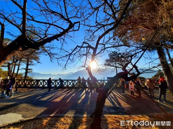 ▲▼ 2023元旦跨年 阿里山林鐵觀日列車自12月12日起開始預售 。(圖/阿里山林業鐵路及文化資產管理處提供)