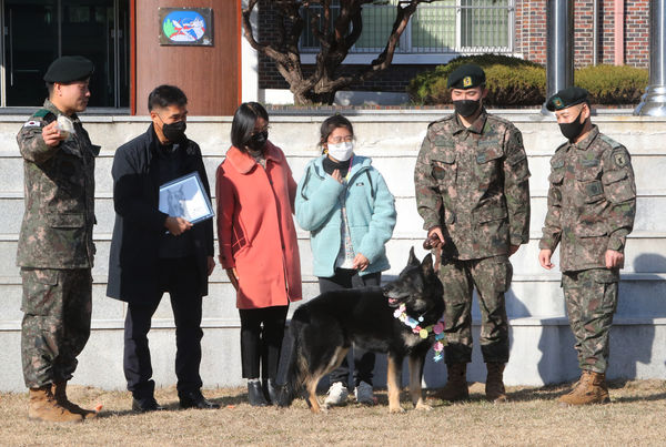 ▲▼在南韓陸軍部隊服役的牧羊犬達官今年滿10歲，軍方為其舉辦退伍儀式。（圖／達志影像／newscom）