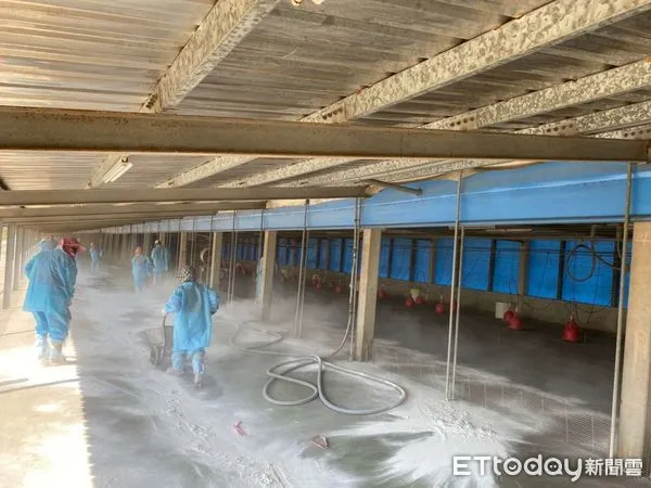 ▲雲林水林鄉土番鴨場確診H5N1禽流感,執行土番鴨25637隻撲殺銷毀作業,並督導業者完成場區清潔及消毒工作。(圖/記者蔡佩旻翻攝)