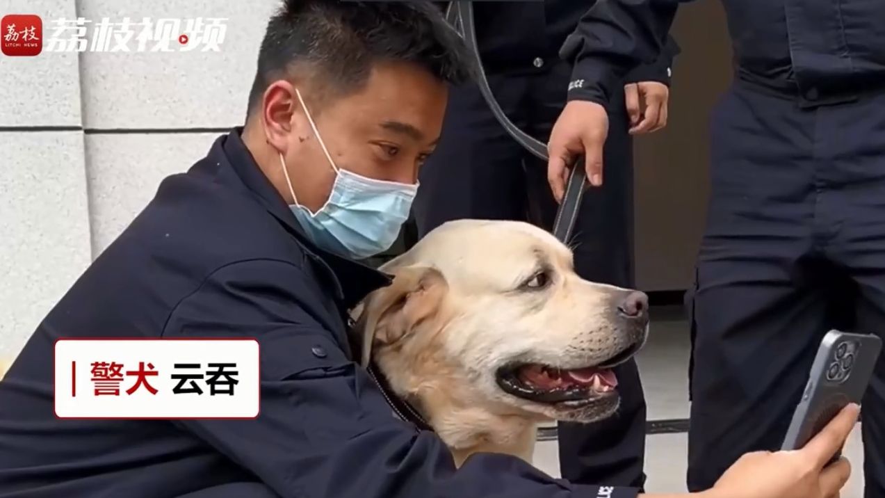 ▲▼警犬太胖要減肥。（圖／翻攝自微博）